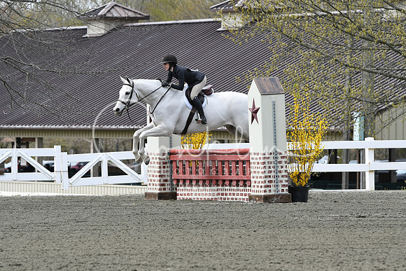 HSM_0482