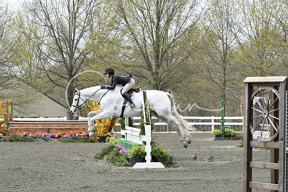 HSM_0529