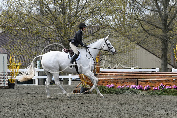 HSM_0539