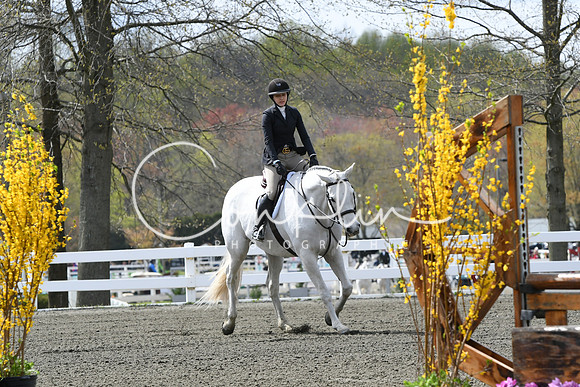 HSM_0573