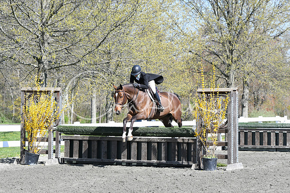HSM_4774
