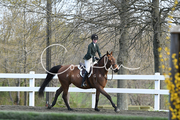 HSM_2073
