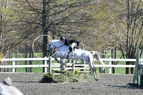 HSM_4385