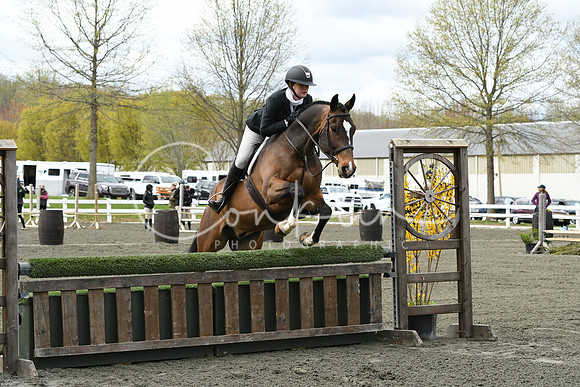 HSM_2353