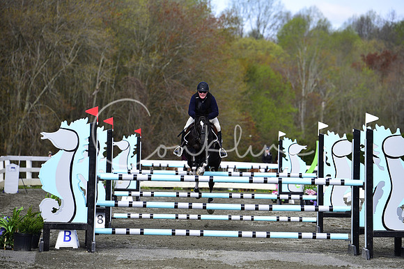 _DSC8599