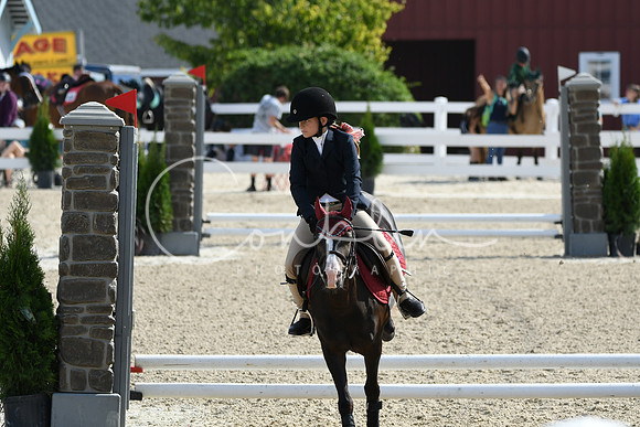 HSM_1790