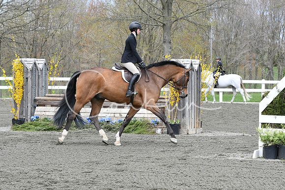 HSM_0410