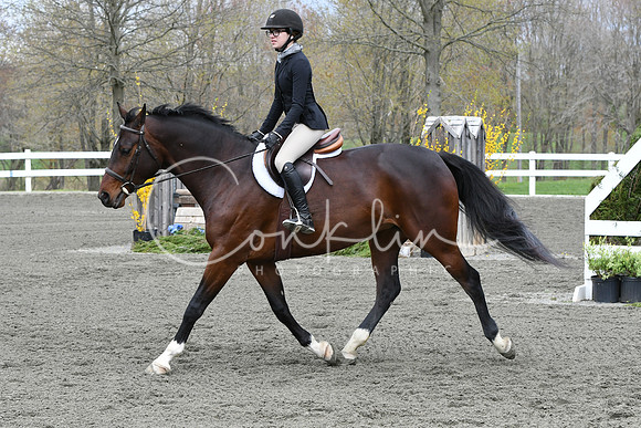 HSM_0412