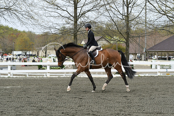 HSM_0413