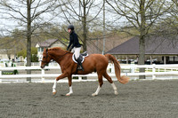 HSM_0431