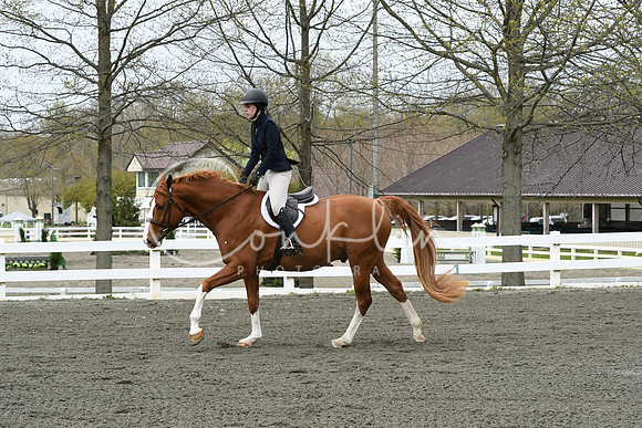 HSM_0431