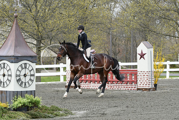 HSM_0432