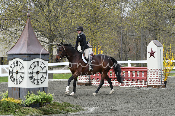 HSM_0433
