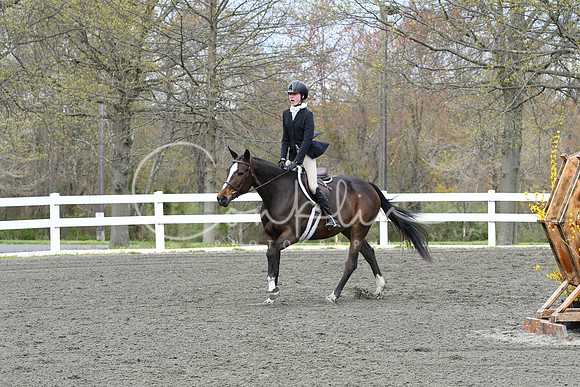 HSM_0434