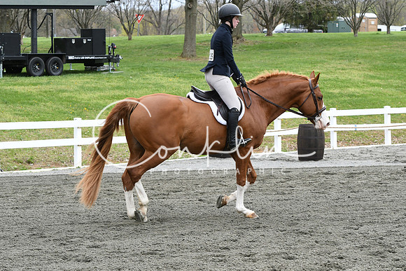 HSM_0447