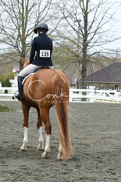 HSM_0460