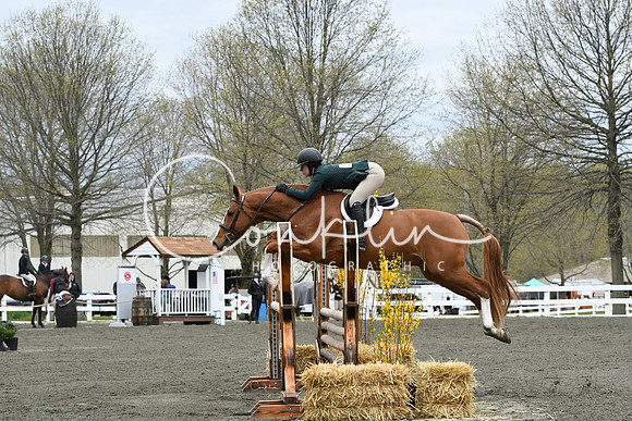 HSM_3869-1