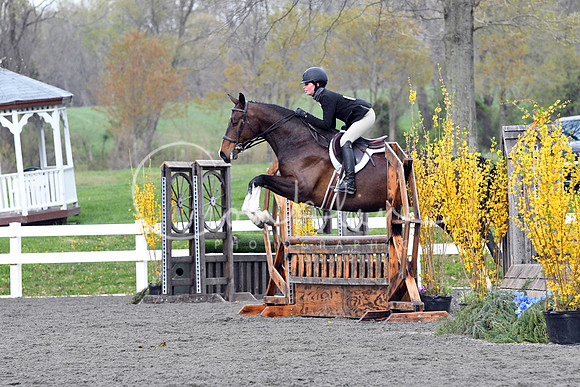HSM_1411-1