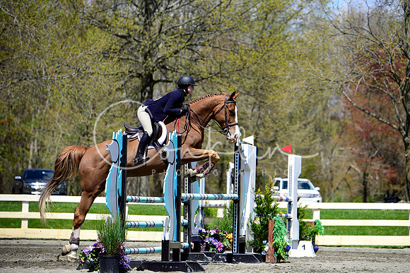 _DSC3889-1