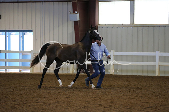 SRCX1204