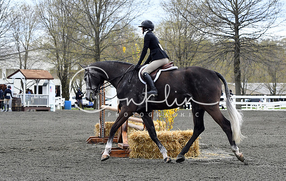 HSM_3096-1