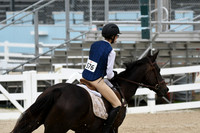 HSM_3413