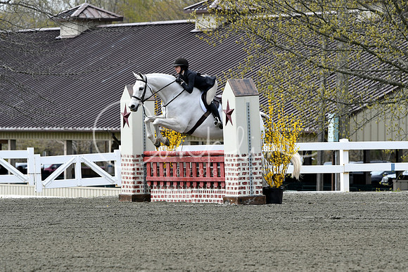 HSM_0481-1