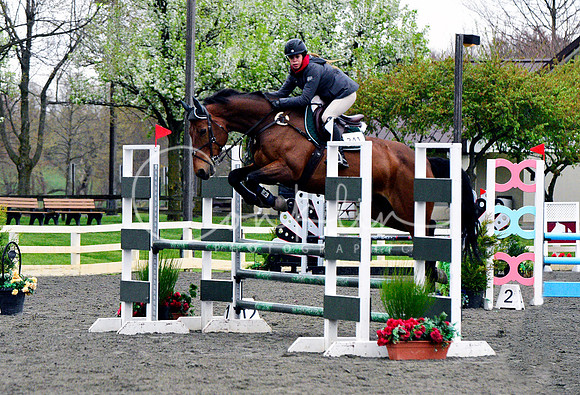 _DSC1238 copy