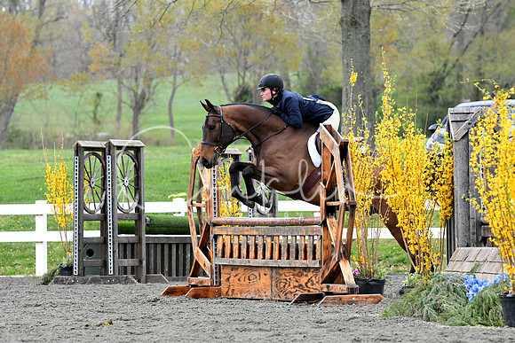 HSM_1329-1