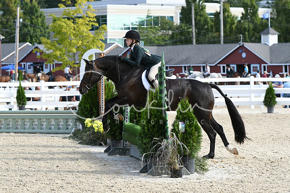 HSM_5886