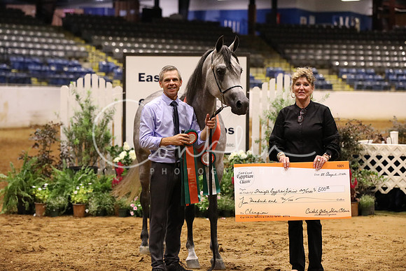BW189616