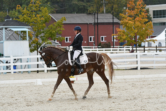 HSM_0531