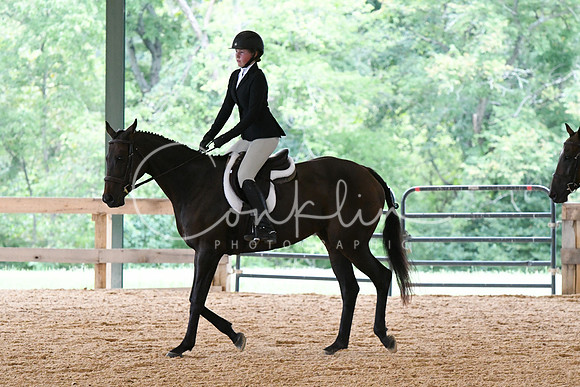 HSM_1453