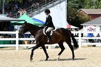 HSM_9297