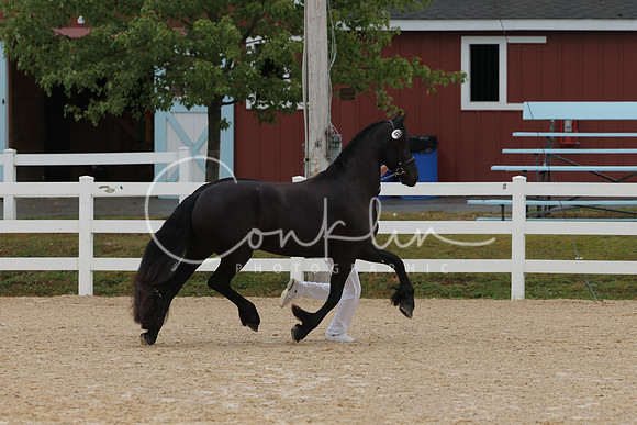 HLK_3319