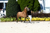 HSM_6485