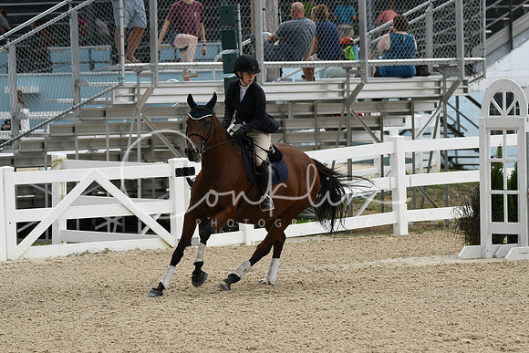 HSM_3131