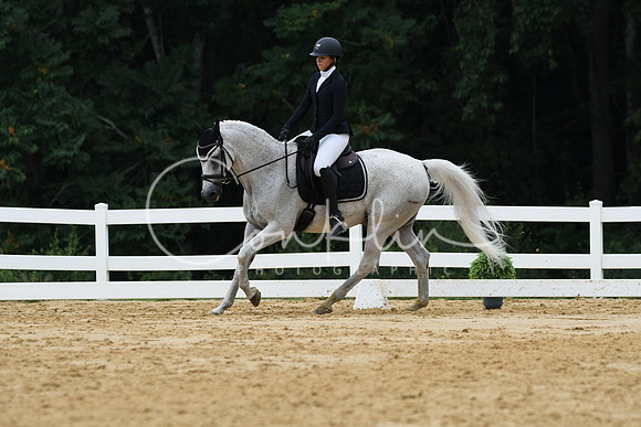 HSM_0349