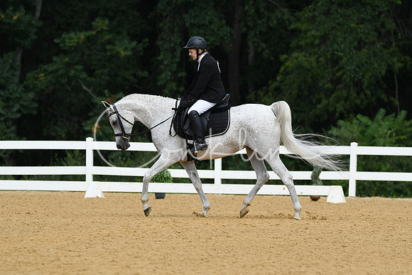 HSM_1119