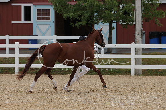 HLK_3428