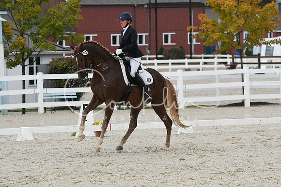 HSM_0568