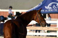 HSM_5636