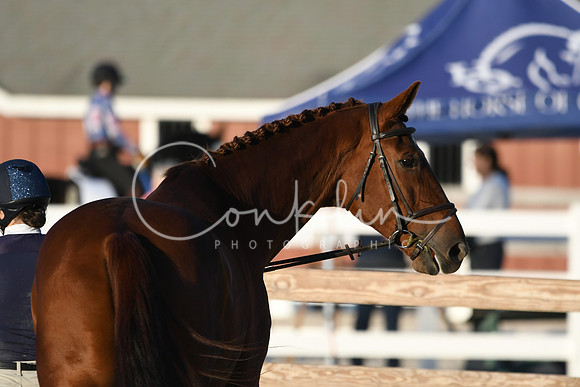 HSM_5636