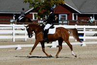HSM_6772