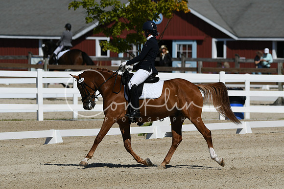 HSM_6772