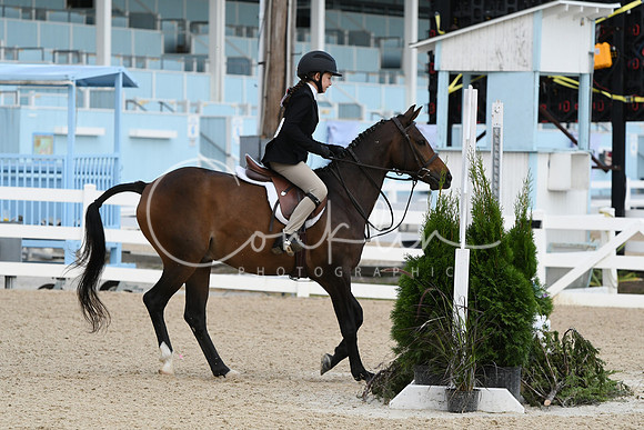 HSM_5421