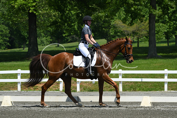 HSM_2075