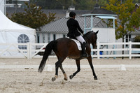 HSM_0474