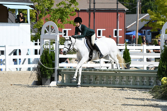HSM_6303