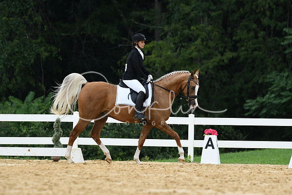 HSM_0240